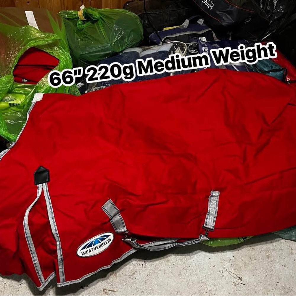 Weatherbeeta 66” Medium Weight (220g) Horse Turnout Blanket